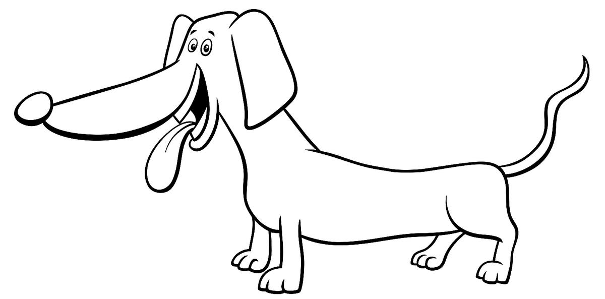 Perros – Dibujos para colorear